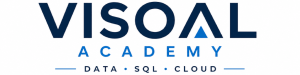 Visoal logo