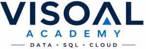 Visoal logo